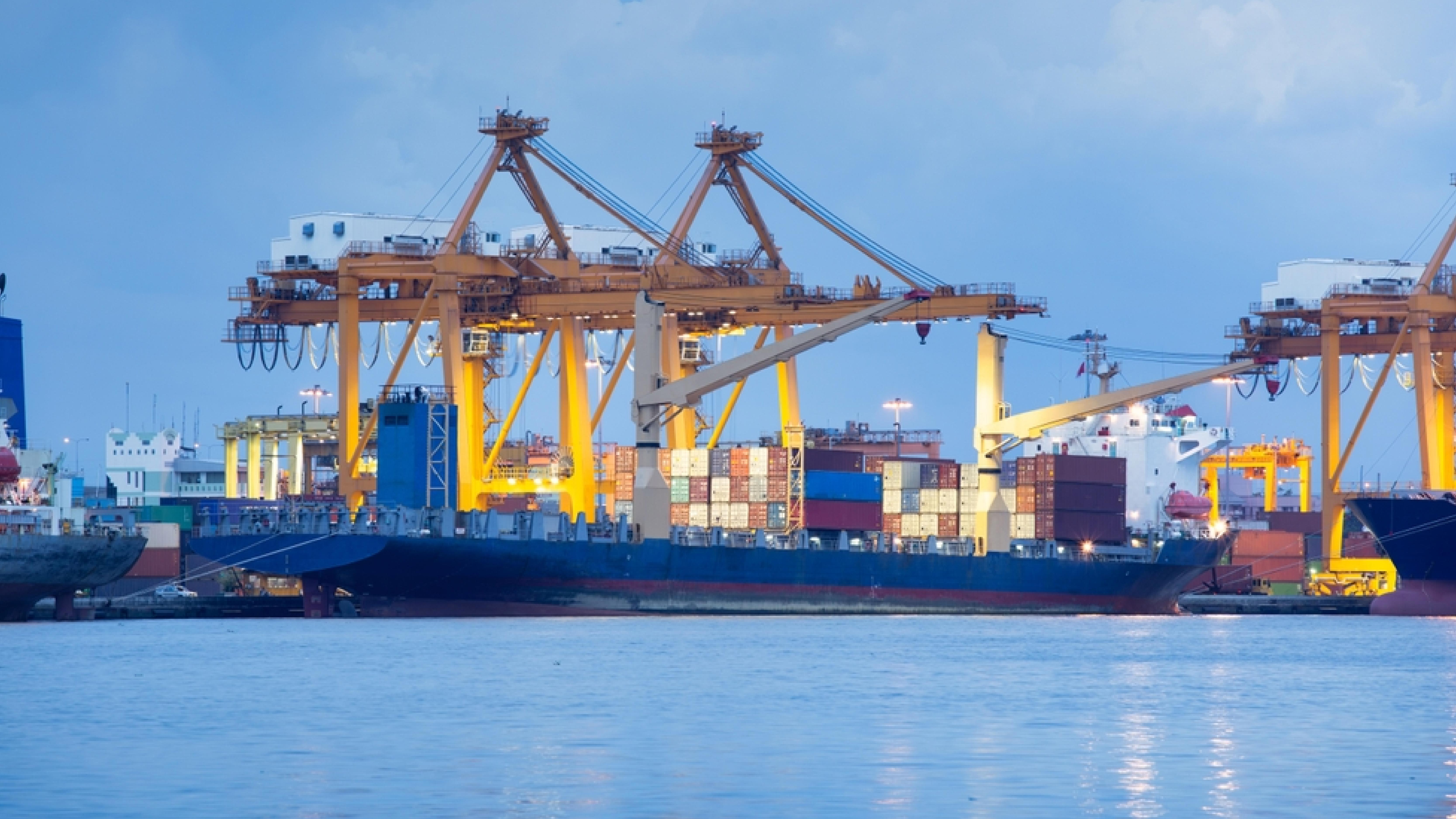 Trade Licence visual